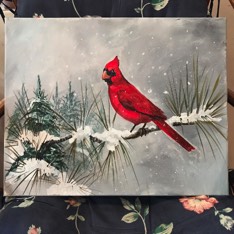 cardinal on pine
