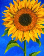 LOWRES.Sunflower.jpg